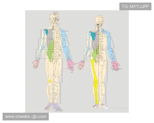 数字经络系统打通 疏通赛事执行信息阻塞 数字经络系统打通 疏通赛事执行信息阻塞